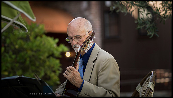 maestro
