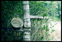two thousand and one 352|365