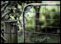 no trespassing