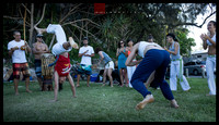 capoeira 355|365