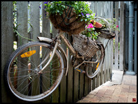 flower basket