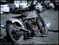 old bones