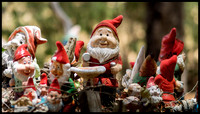 gnomesville