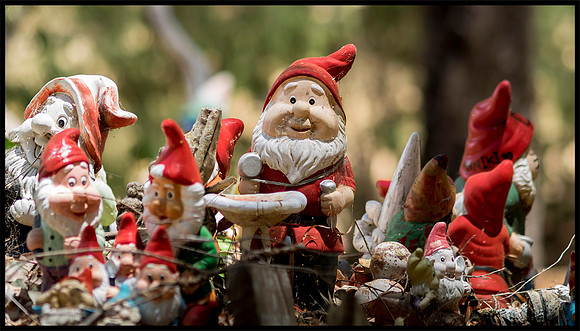 gnomesville