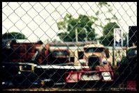 graveyard 350|365