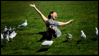 free as the birds