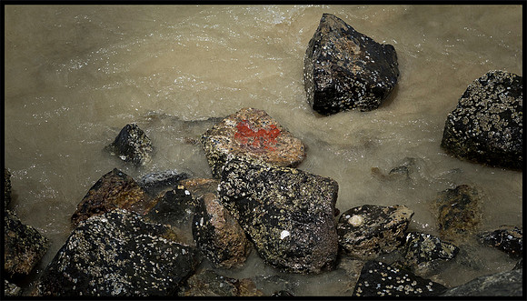 littoral