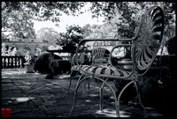 dappled shade