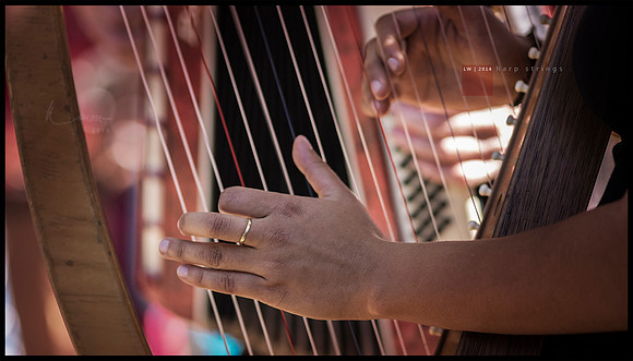 harp strings