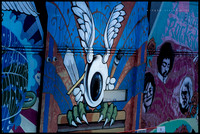 winged vision