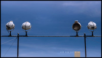 odd one out