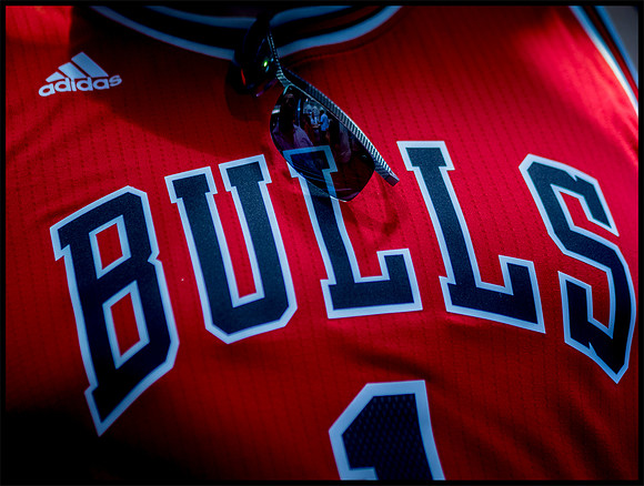 bulls
