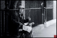 erhu