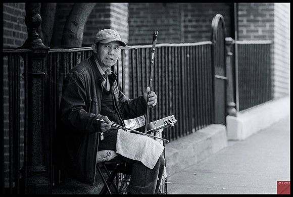 erhu